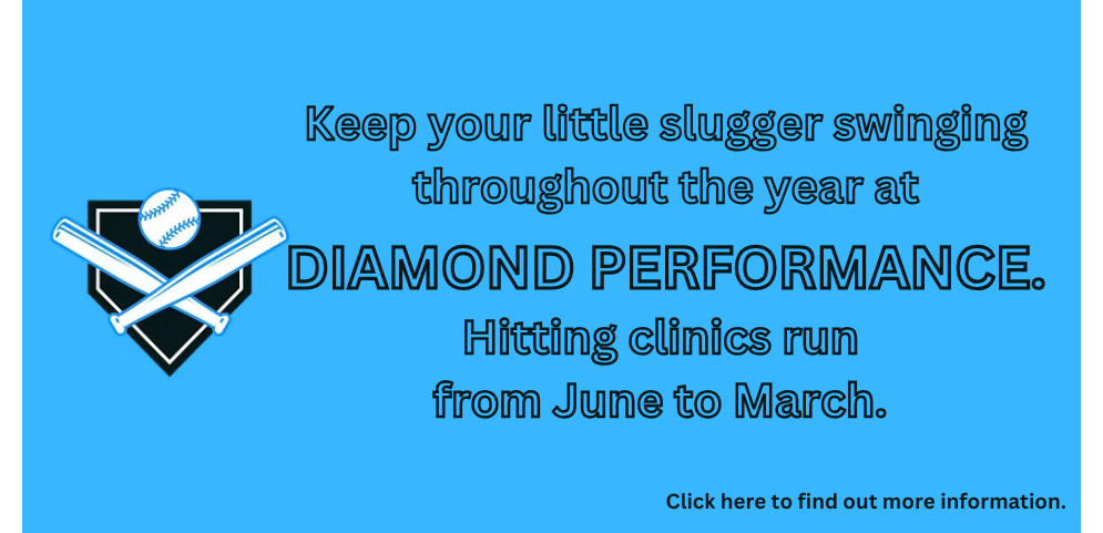 Diamond Performance Hitting Clinics